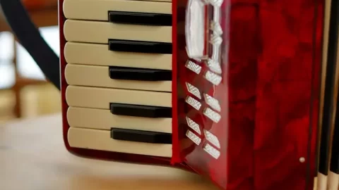 アコーディオンのデザインが増えました